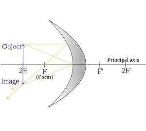 S = 2F