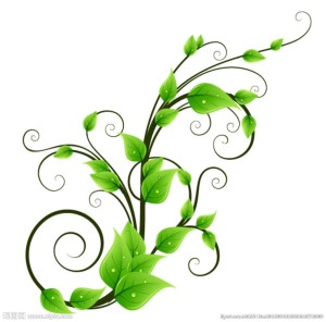 编辑手抄报的美化与设计涉及的范围主要有:版面设计与报头,题花,插图