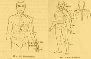 人体