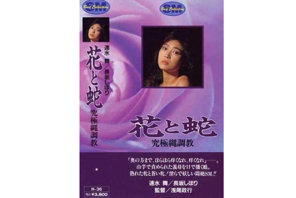 花与蛇之4究极绳调教(2010年浅尾政执导的电影)_搜狗百科