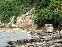 大陈岛