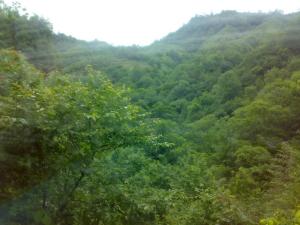 康县阳坝自然风景区图册