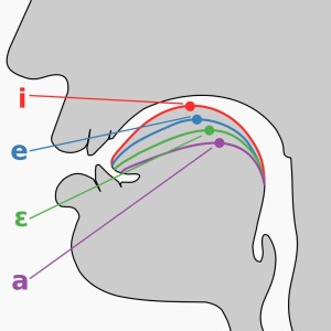 元音 [i, e, 07, a] 的舌位图