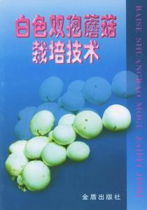 双孢蘑菇