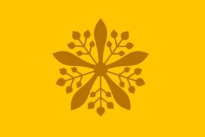 满洲国皇帝私人旗
