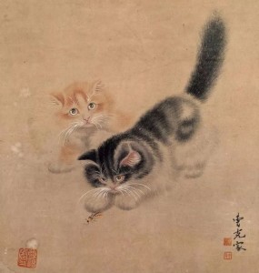 狸奴