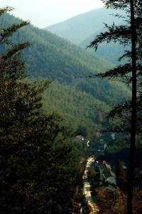 阳岱山人家