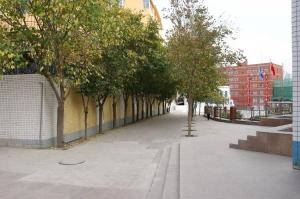 八中图册