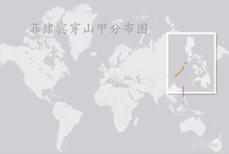 菲律宾穿山甲分布图