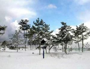 威海冬天景色
