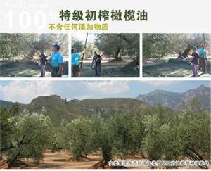 加工工艺