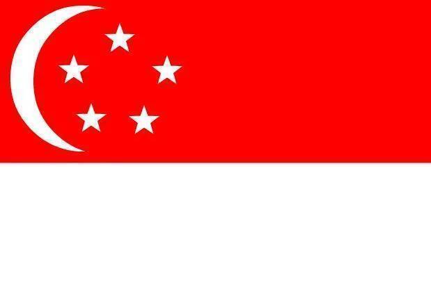 新加坡国旗 星月旗 搜狗百科