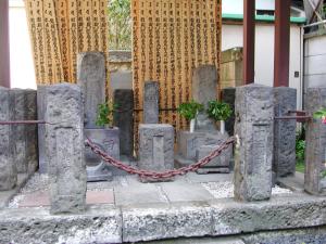 川柳的图片
