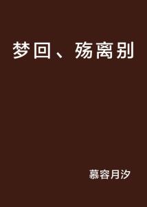 遗忘的离别，梦里寻觅失去的答案