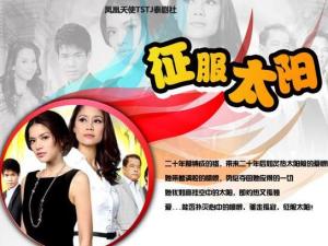 电视剧《谁与争辉》