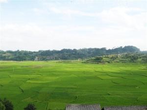 在乡政府附近俯瞰坝子美景