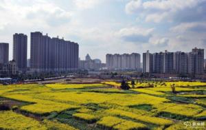 成都打造世界最大的田园城市
