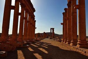 帕尔米拉古城遗址图册