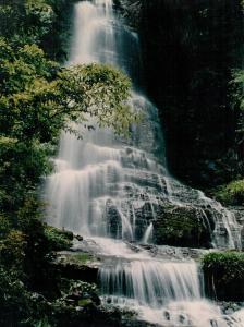米仓山自然保护区