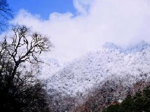 金鸡险峰