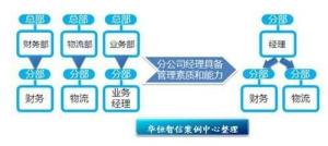 几种不同的组织结构示例