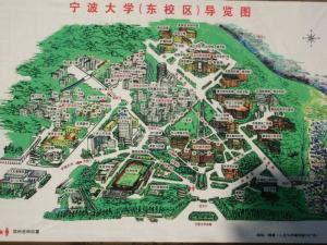 宁波大学