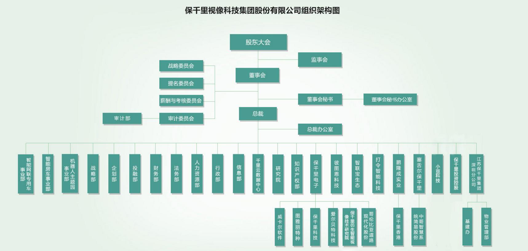 保千里視像科技集團股份有限公司組織架構圖