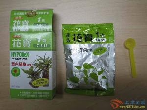 花宝一号照片集锦