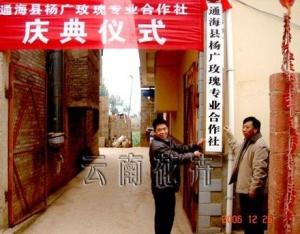 杨广镇经济