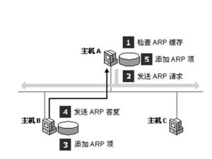 ARP协议