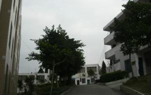 古蔺县蔺阳中学校图册