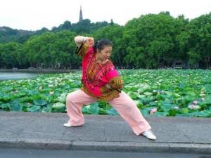 杨氏太极拳