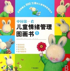 如何读懂孩子的情绪书籍 300