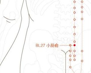 小肠俞穴 搜狗百科