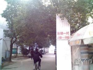 实景图