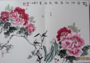 国际牡丹园图册