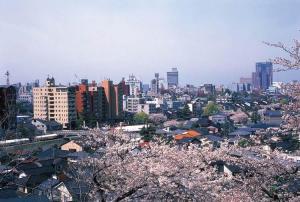 石川县首府一角图3