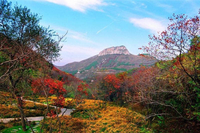 红叶谷 济南市4a级风景区 搜狗百科