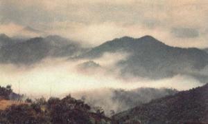 罗山风光