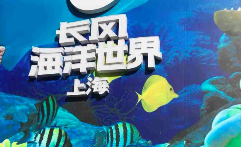 长风公园海洋馆年卡图片