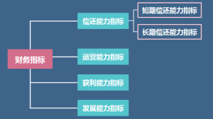 偿债能力指标