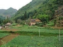 啥叫自然村和行政村 300