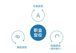职业定位