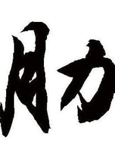 肋