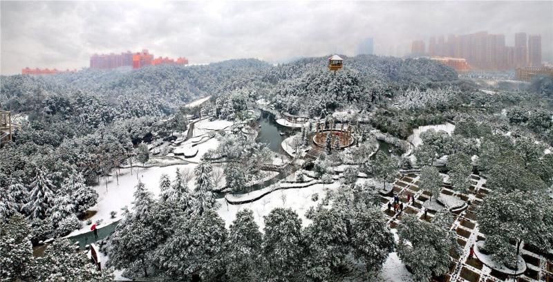 长大雪景