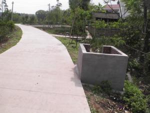 凤江村级公路 凤江村级公路