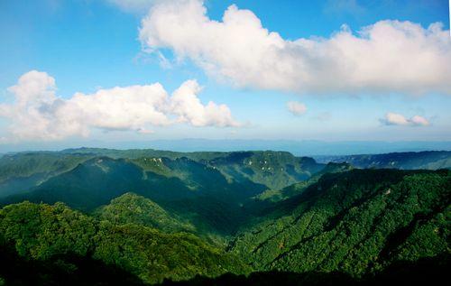 大风堡原始森林风景区