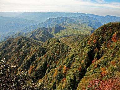 大风堡原始森林风景区