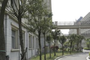 校园风光