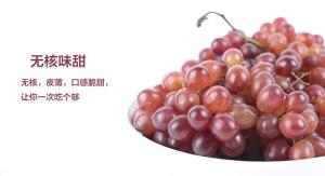 红宝石葡萄